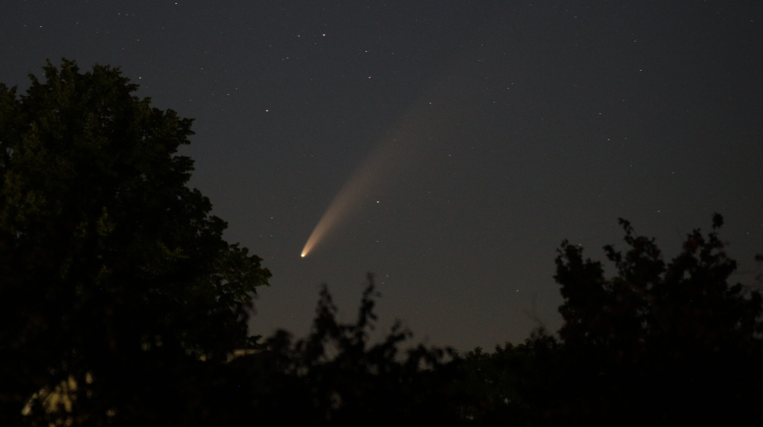 Der beeindruckende Komet C/2020 F3 Neowise